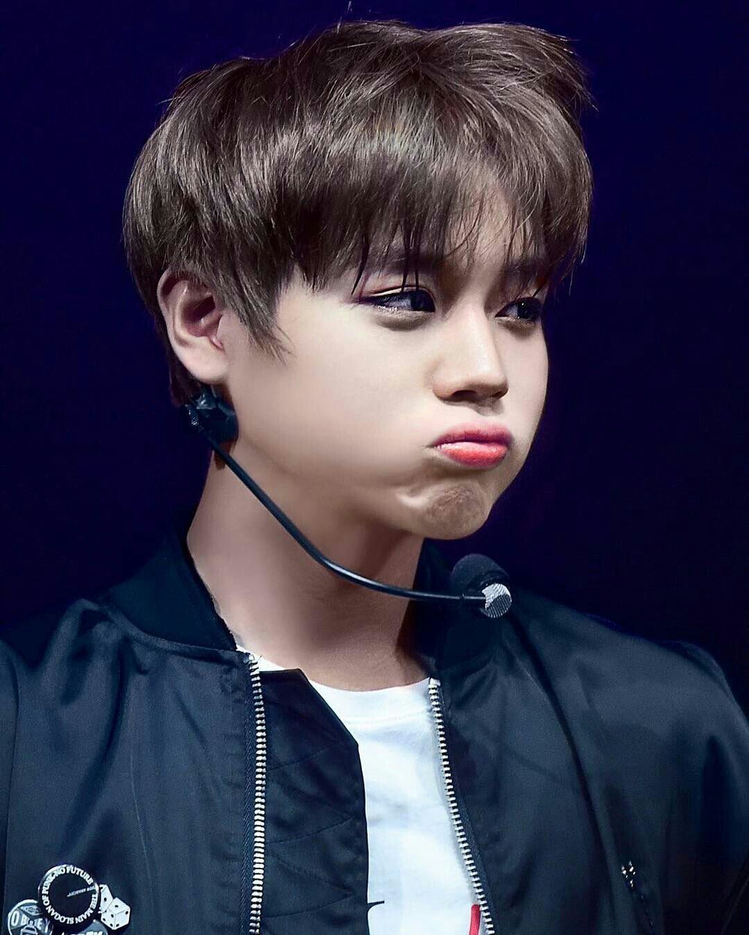 강다니엘 / 워너원