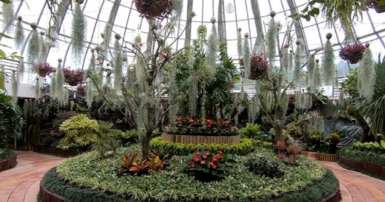 고성 공룡엑스포