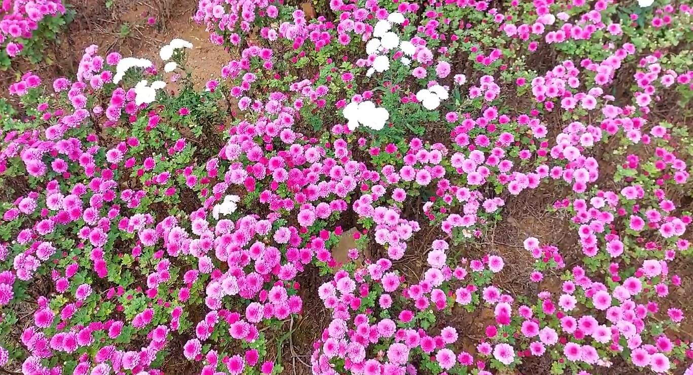 감악산