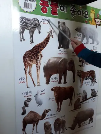 세글자 동물이름 모두 모여라 세글자 파충류 곤충 바다생물 총정리_8