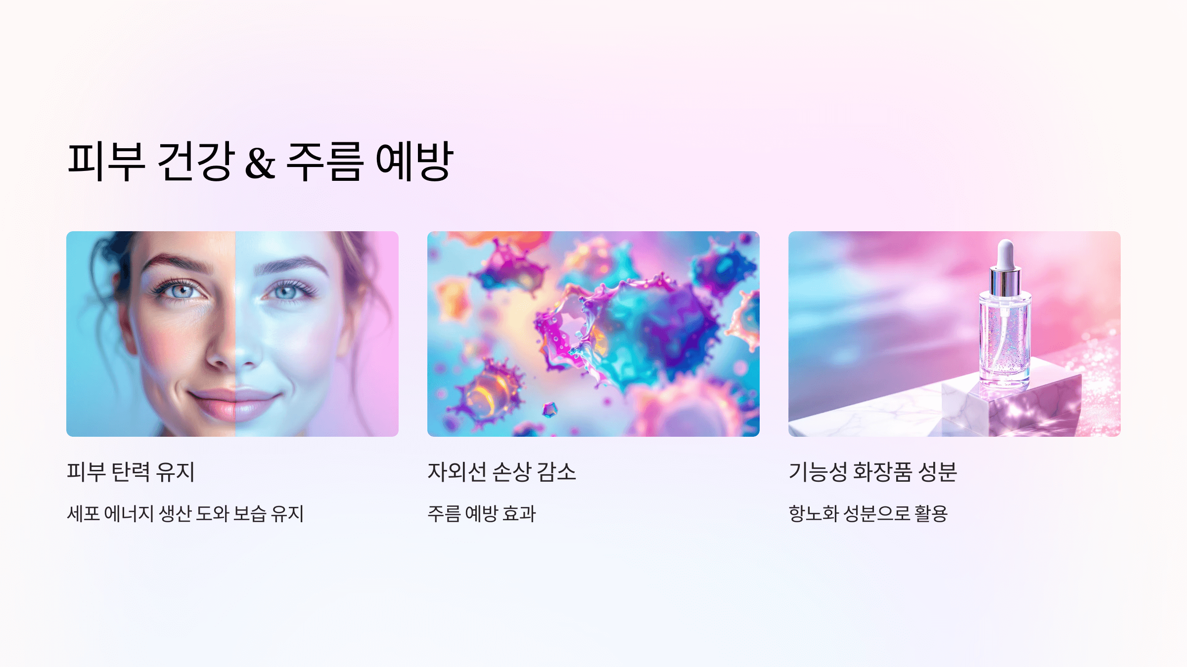 코큐텐과 관련된 사진입니다.