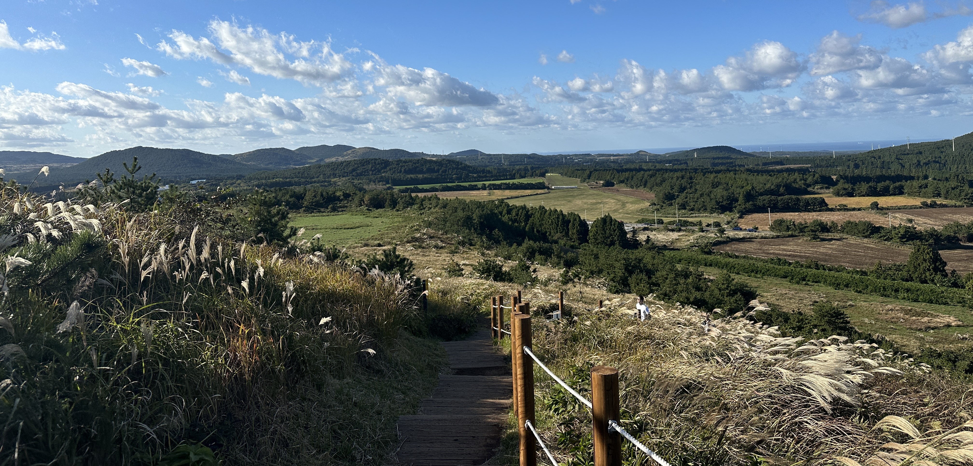 백약이오름 내려가는길