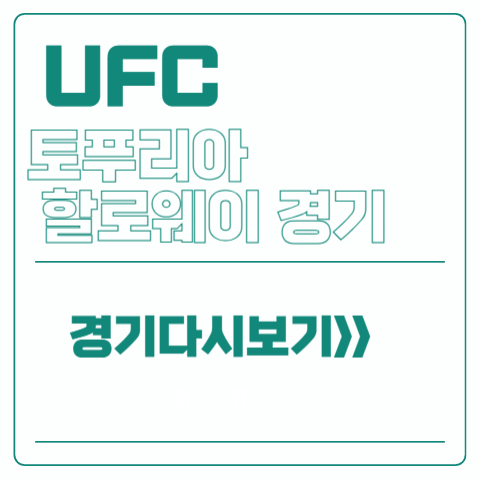 UFC 토푸리아 할로웨이 경기 다시보기
