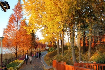 신정호 석갈비&amp;#44; 6시 내고향이 선택한 맛! 아산 대표 석갈비 찐 맛집 솔직 후기