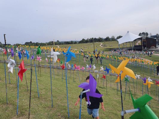 임진각-바람의언덕-바람개비