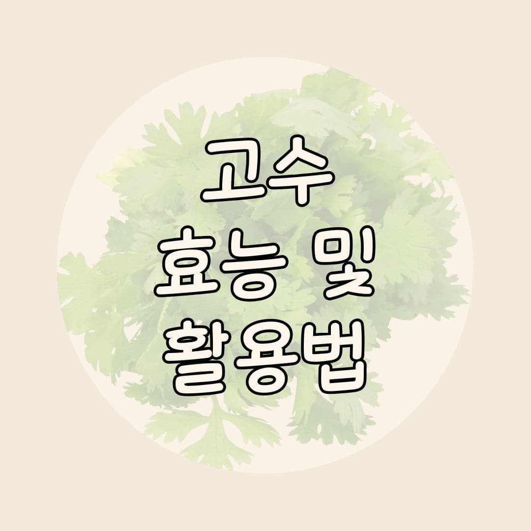 고수 효능