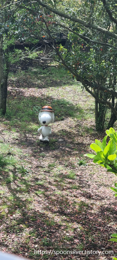 제주스누피가든