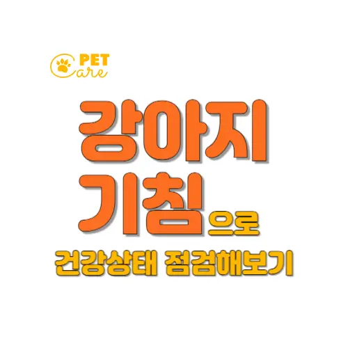 강아지 기침 썸네일