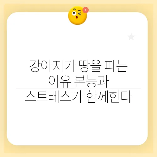 강아지가 땅을 파는 이유 본능과 스트레스가 함께한다