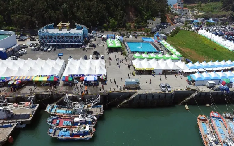 서천 자연산 광어 도미축제_10