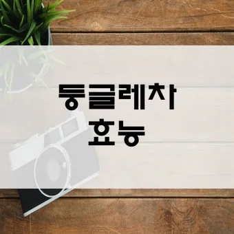 둥글레차 효과 건강에 좋은 차 효능 정리_26