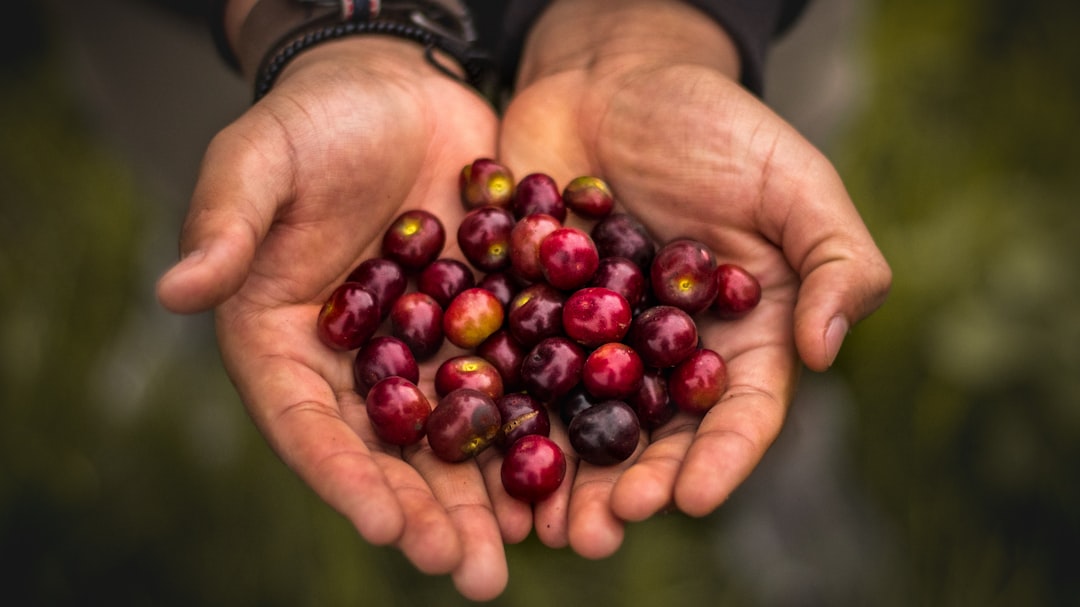 Goji berry