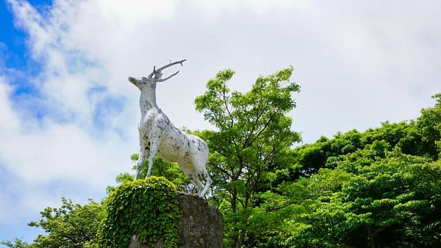 "청양 고추와 농부의 용기를 기리는 전설"