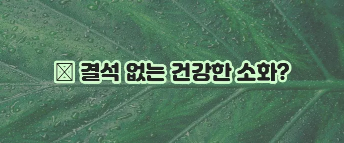강아지 건강한 소화 돕는 결석 예방 식품 가이드 꼭 확인하세요