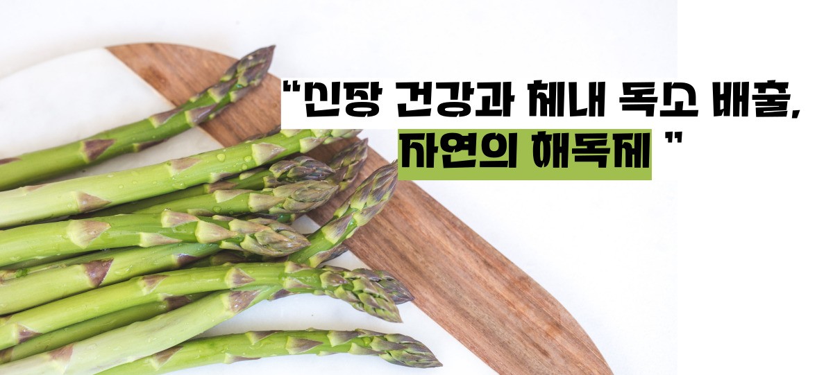 아스파라거스 효능