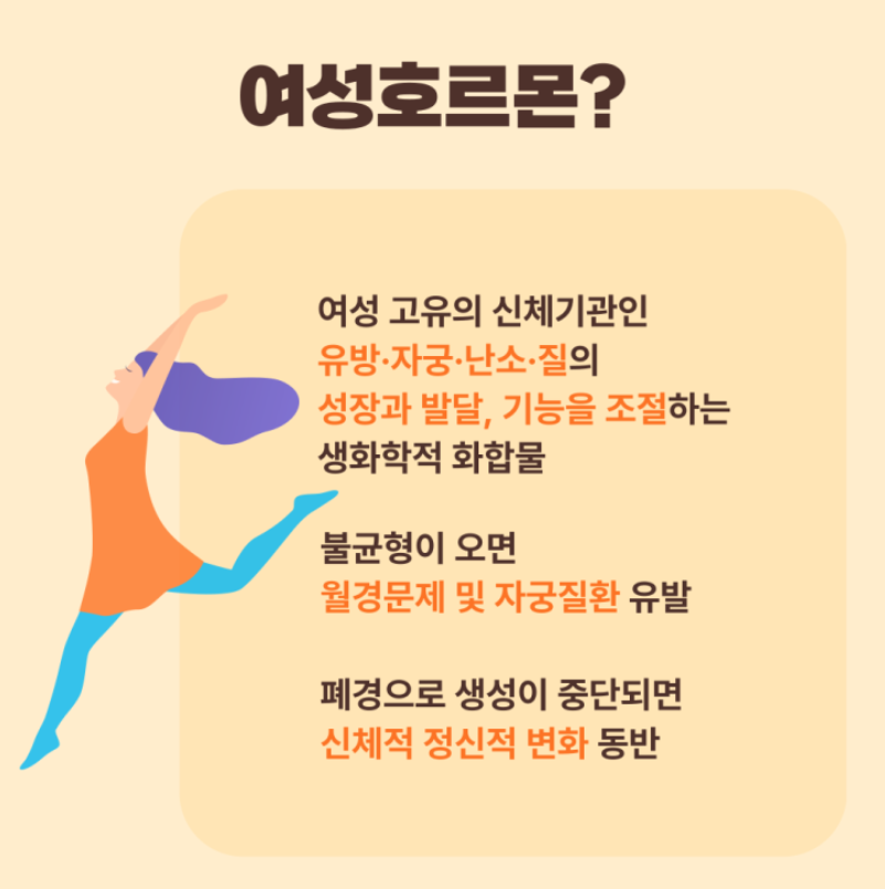 갱년기 호르몬 치료