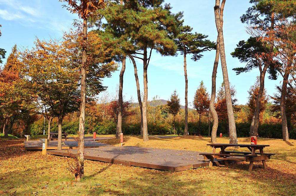 경기도 안성맞춤캠핑장 소개