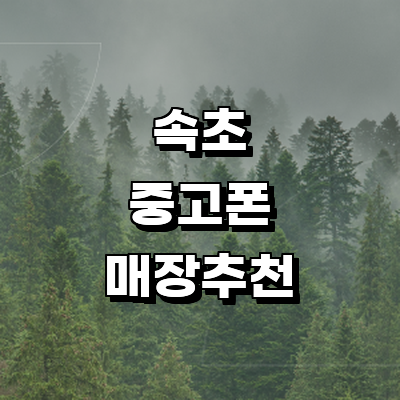 속초시 중고폰