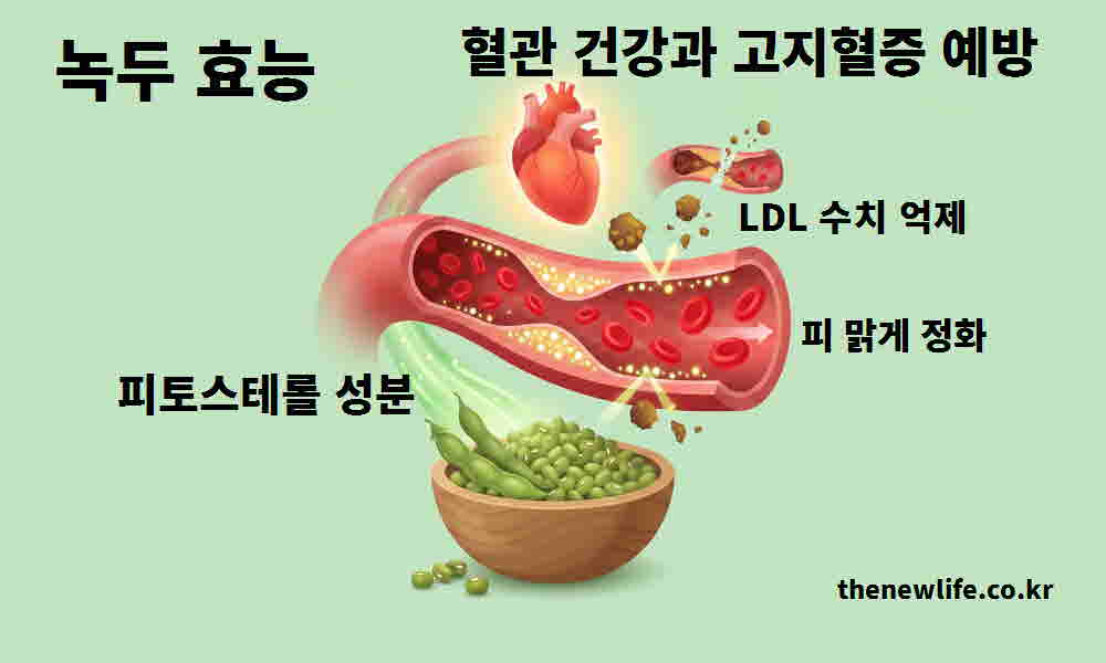 녹두 효능 혈관 건강 고지혈증 예방