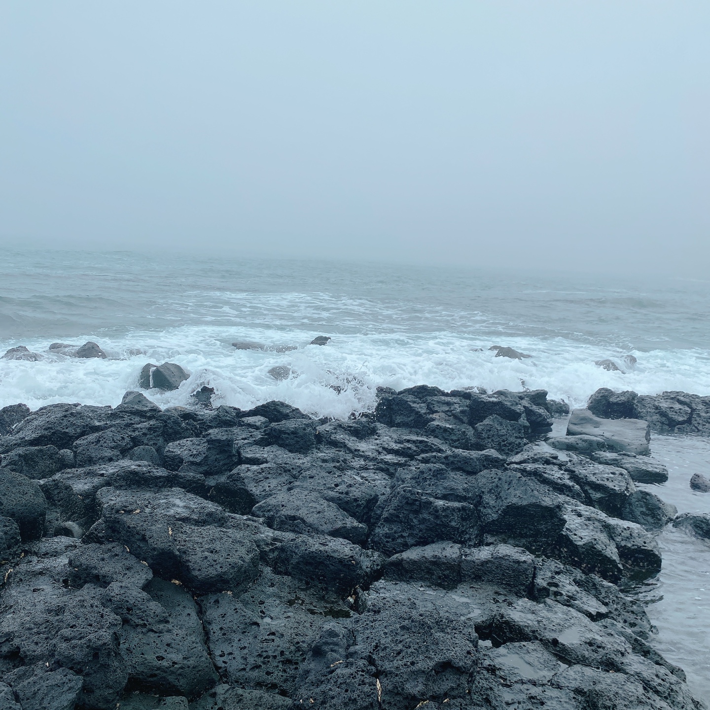 제주 서귀포 대정 서림연대 인스밀 곡물창고 개조카페 in's mill 보리개역 보리 청보리 제주 특산물