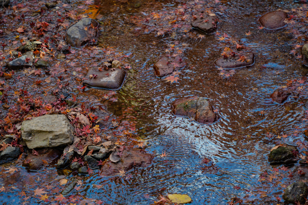 교토 도후쿠지 단풍 명소