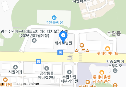 광주 광산구 월곡동 일요일 진료 휴일 문 여는 병원