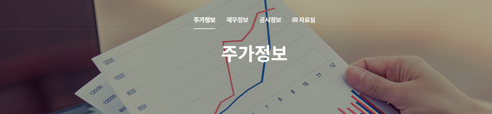 주가정보