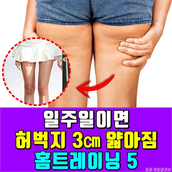 허벅지 살빼는 운동,홈트레이닝,팁줌