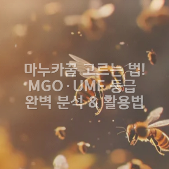 마누카꿀 고르는 법! MGO·UMF 등급 완벽 분석 & 활용법3