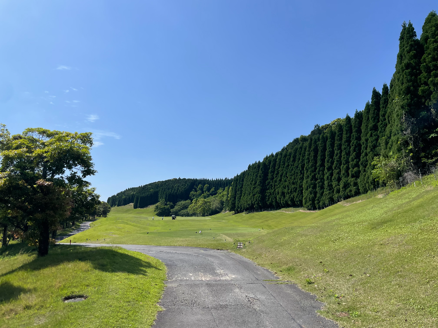 아소 오즈 골프클럽 높은 삼나무
