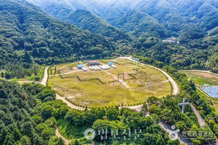 천진암 흰민들레 백양자연관찰로 괭이눈 개화_3