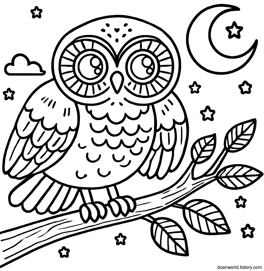 올빼미 색칠공부 도안