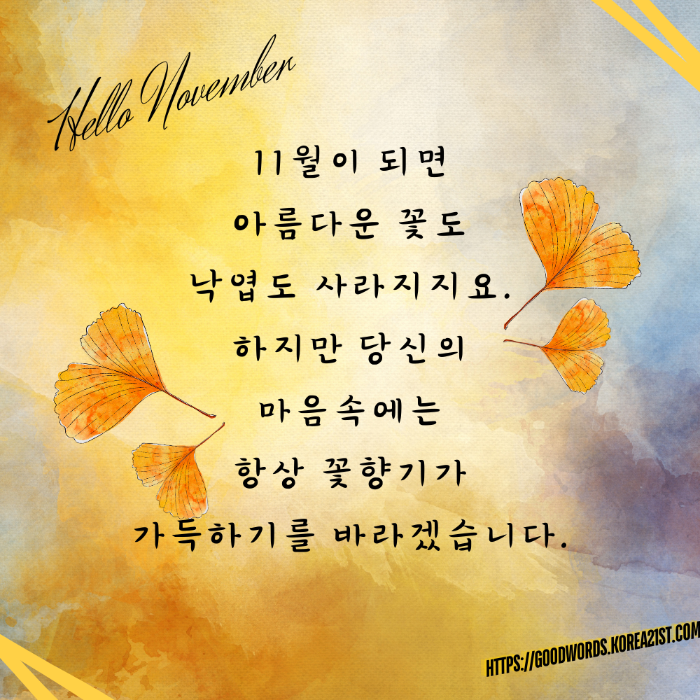 11월 인사말 문구 이미지 모음 안부 메세지