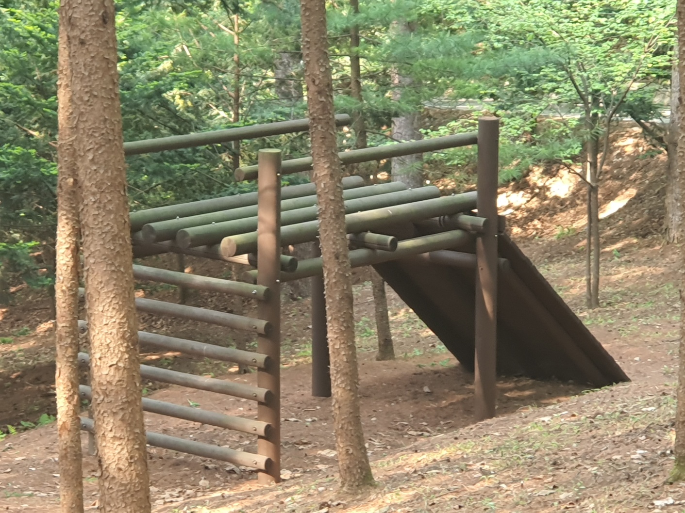 봉래산산림욕장