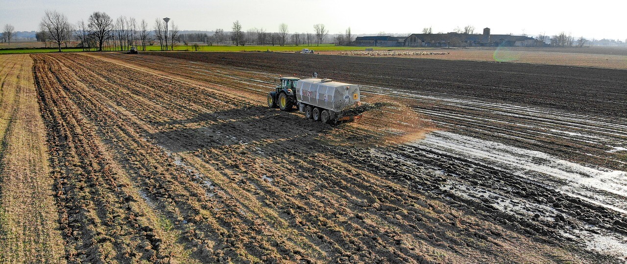 사철나무 병해충