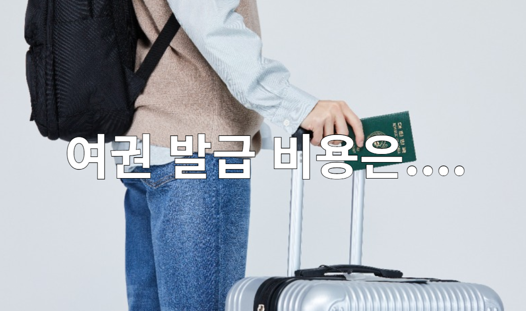 여권 유효기간 종류와 발급 비용