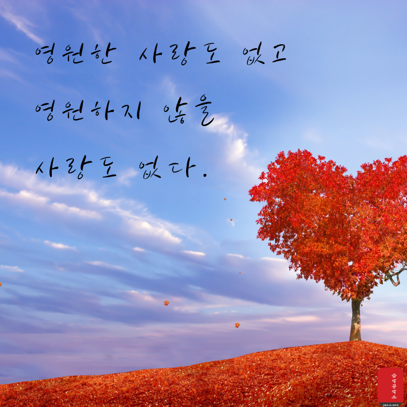 사랑 글귀 좋은 글 사랑의 글 모음 이미지