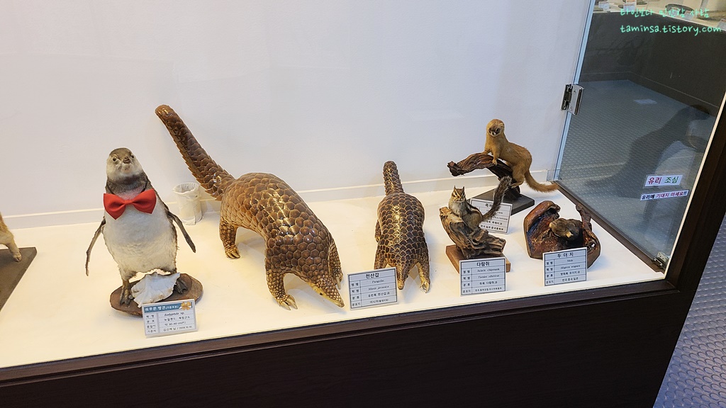 덕소자연사박물관-상설전시