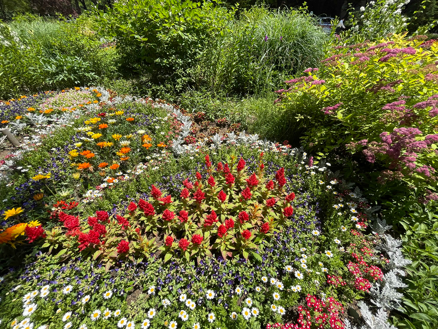 양재(매헌)시민의 숲 나들이 꽃꾸미기3