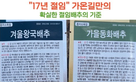 절임배추 추천 Best 3