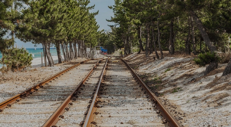 정동진 레일바이크