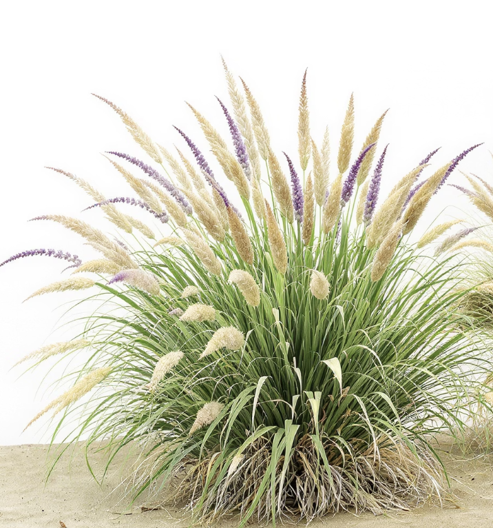 가을의 시작을 알리는 수줍은 개화