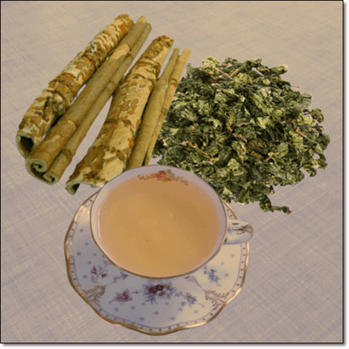 뽕나무 및 상백피 먹는 법