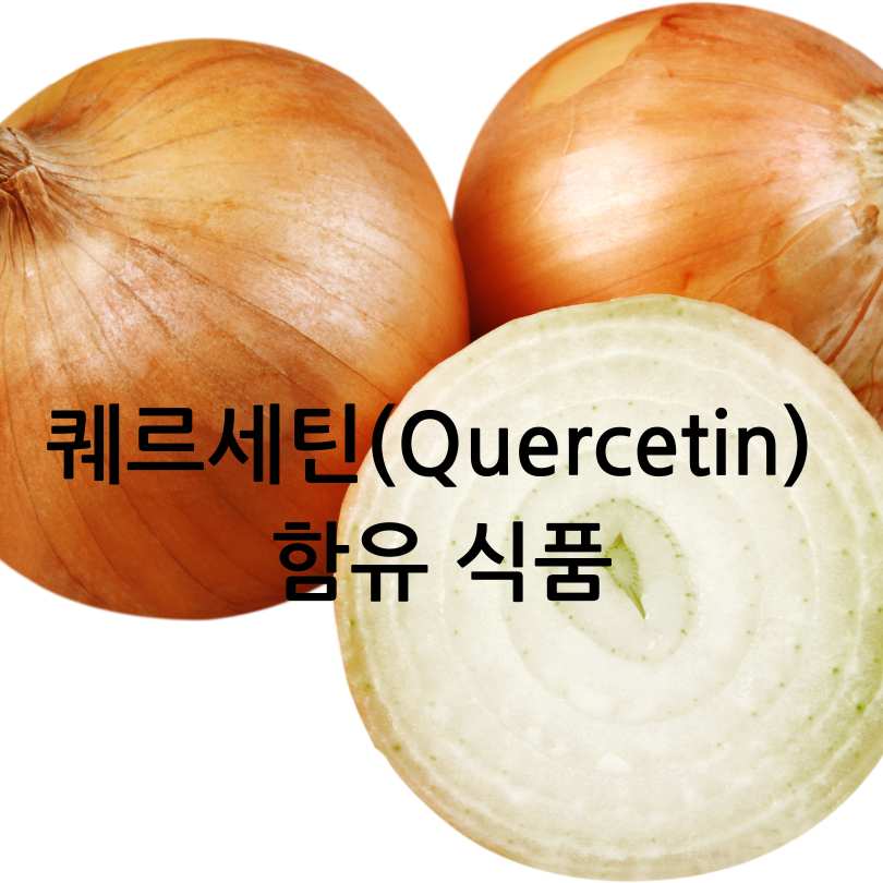 좀비세포 제거 음식 BEST 5