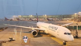 에어 프레미아 항공 특가 좌석 프로모션