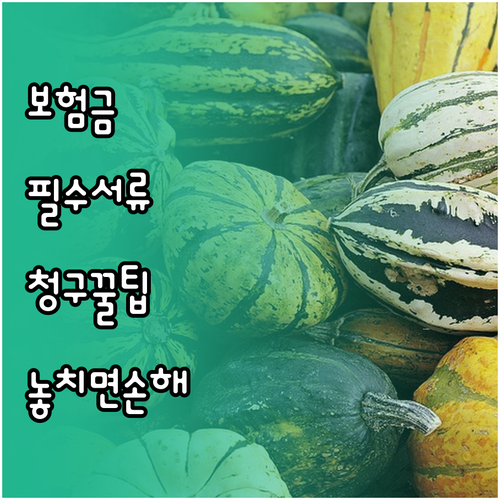 농촌인력중개센터 근로자 상해보험 필수..