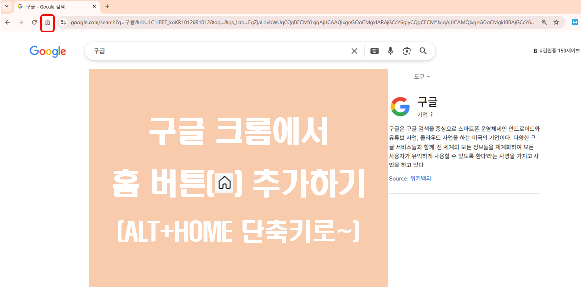 구글 크롬에서 홈 버튼을 추가하기에 대한 화면
