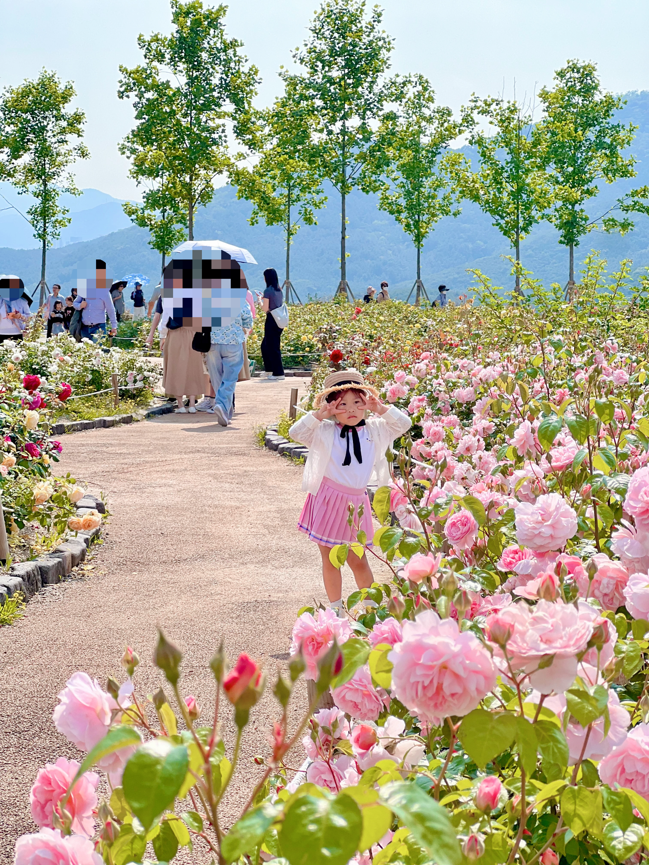 해운대 수목원 장미원, 해운대수목원, 장미명소, 노란장미, 빨간장미, 분홍장미, 장미포토존