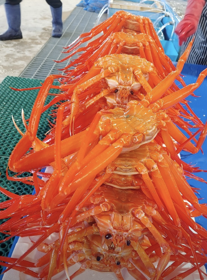 사진3
