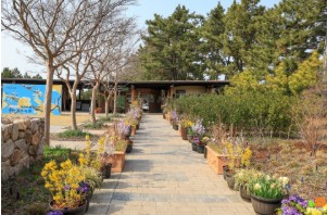 태안 추천 관광지 베스트10 관련 사진